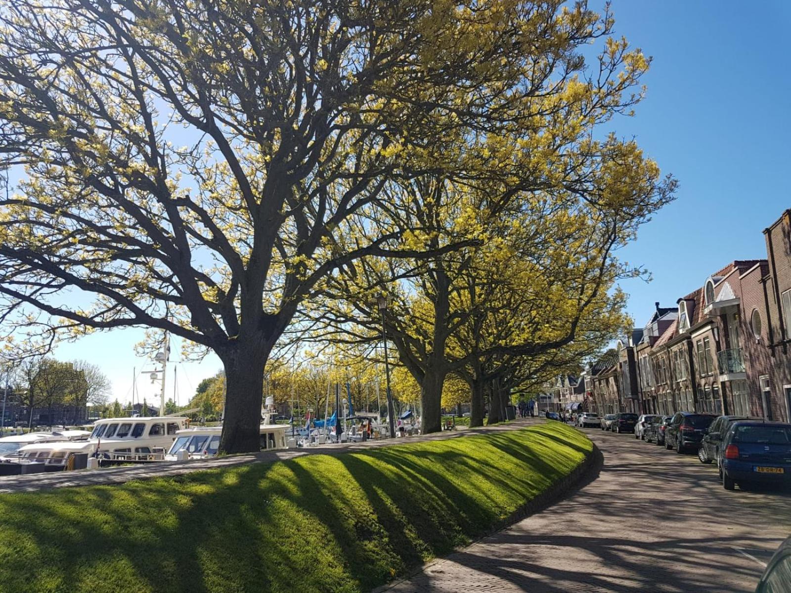 Appartement Havenzicht Enkhuizen Kültér fotó